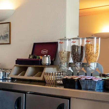 Hibiscus Propriano (Corsica)