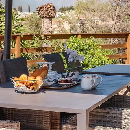 Hibiscus Propriano (Corsica)