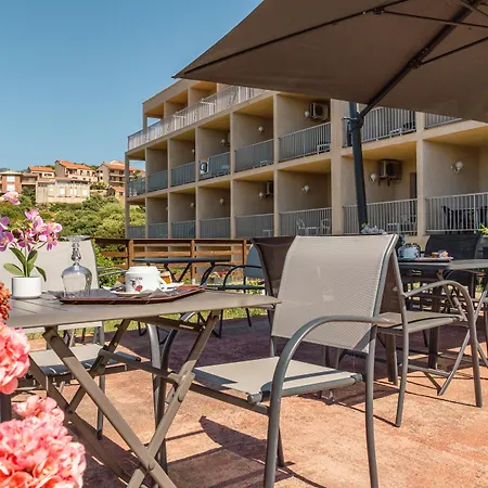 Hibiscus Propriano (Corsica)