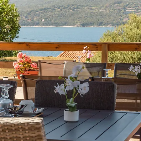 Hibiscus Propriano (Corsica)