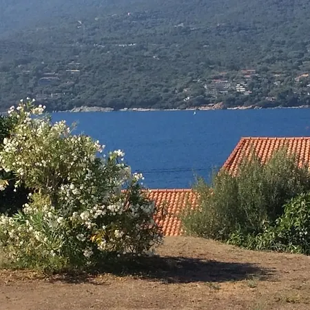 Hibiscus Frühstückspension Propriano (Corsica)