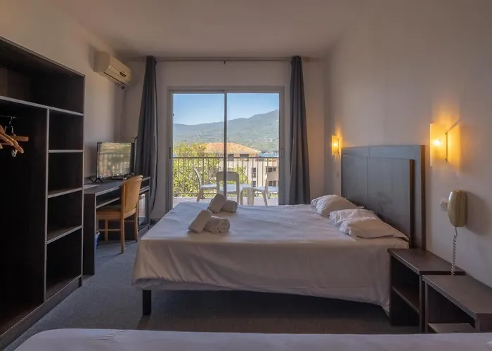 Hibiscus Propriano (Corsica)