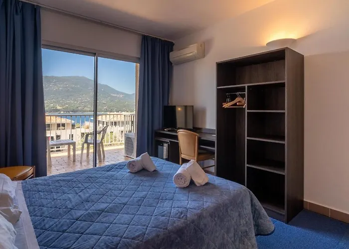 Hibiscus Propriano (Corsica)