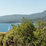 Hibiscus Propriano (Corsica)