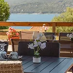 Hibiscus Propriano (Corsica)