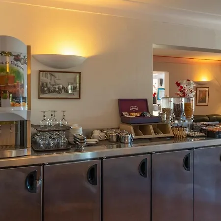 Hibiscus 프로프리아노