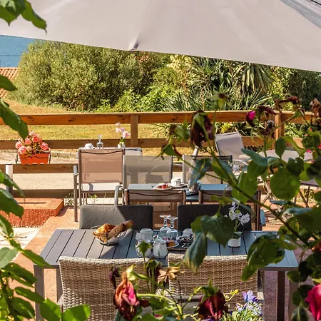 Bed & Breakfast Hibiscus