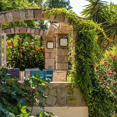 Hibiscus Bed & Breakfast