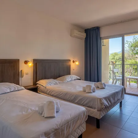 Hibiscus 2* 프로프리아노