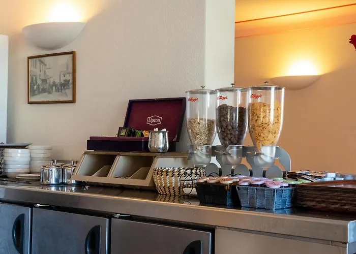 Hibiscus Propriano (Corsica)