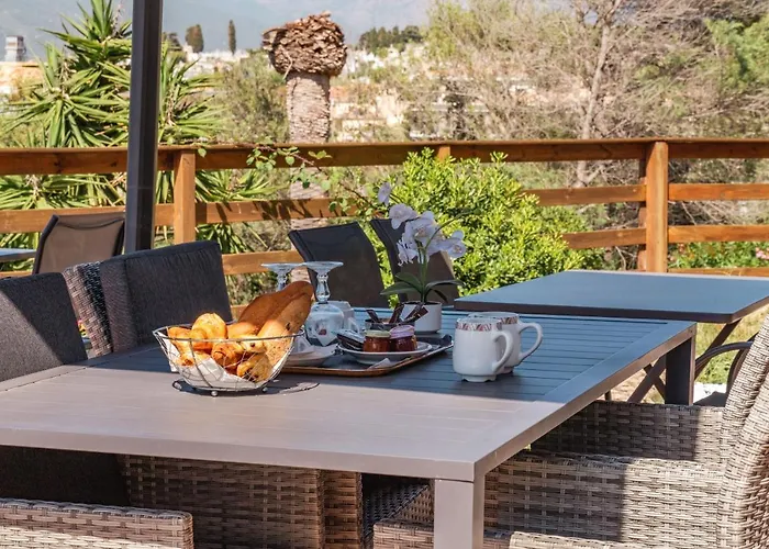 Hibiscus 普罗普里亚诺