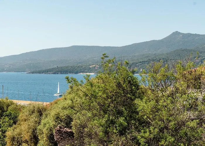 Hibiscus Propriano (Corsica)