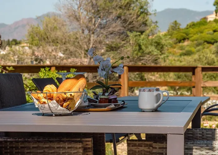 Hibiscus 普罗普里亚诺
