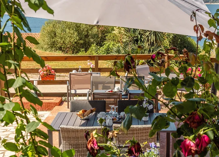 Bed & Breakfast Hibiscus