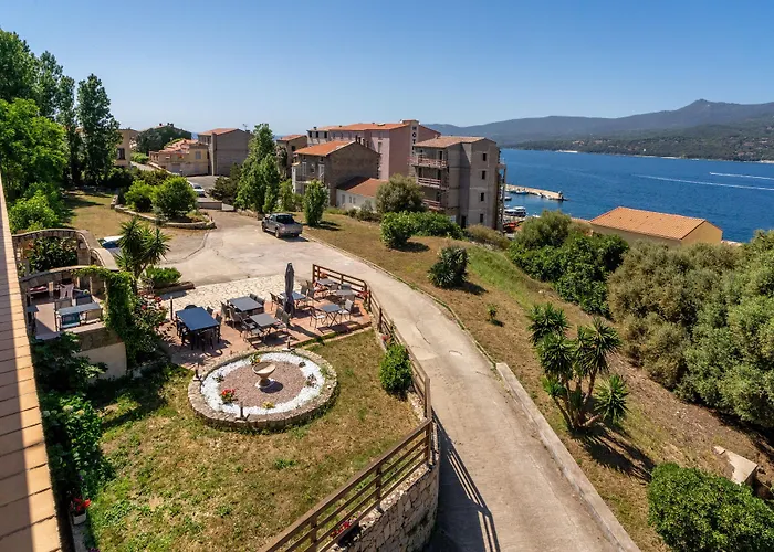 Hibiscus 普罗普里亚诺