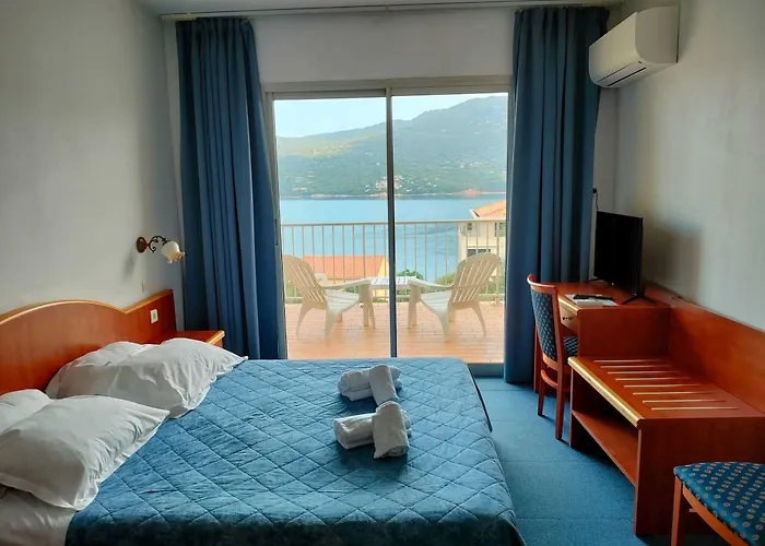 Hibiscus 普罗普里亚诺