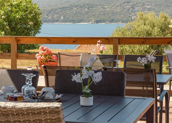 Hibiscus Propriano (Corsica)